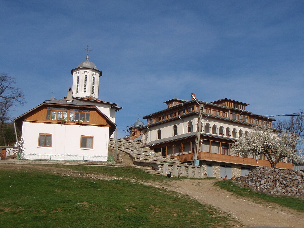 Mănăstirea Dealu Mare