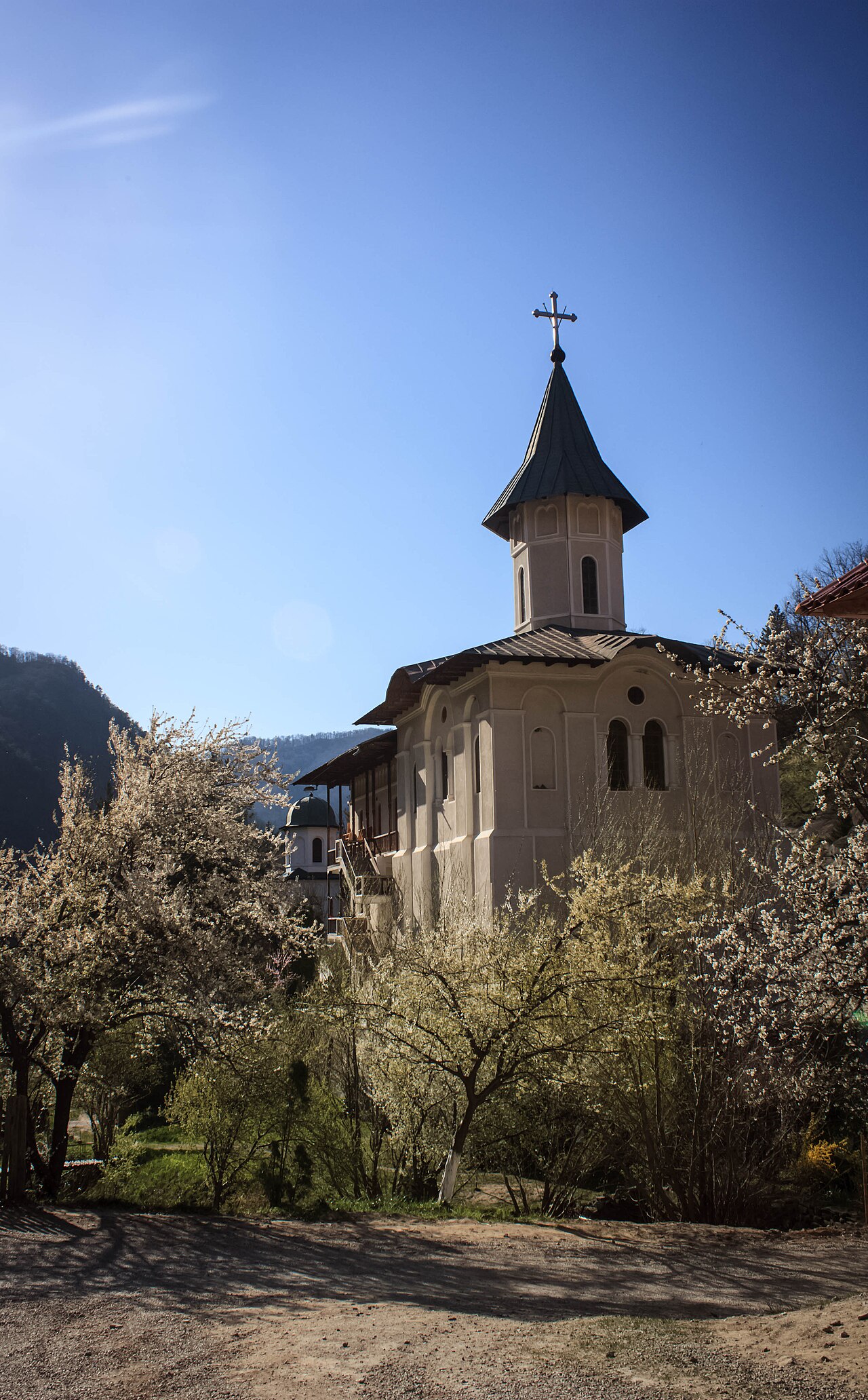 Mănăstirea Turnu (Vâlcea)